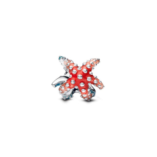 Colourful Starfish Mini Charm