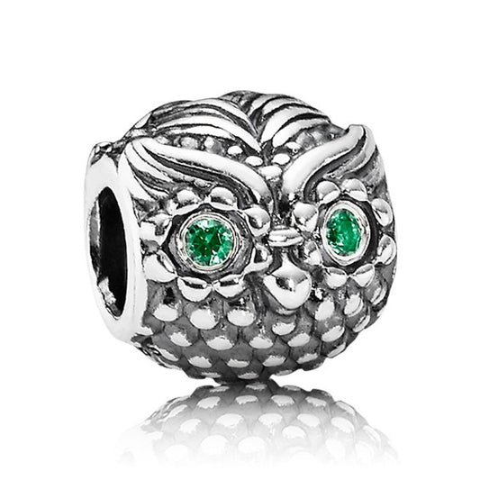 The Wise Owl Charm