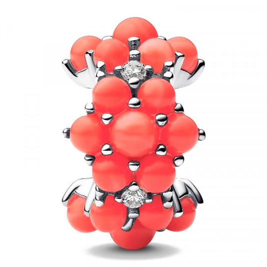 Coral-colored Ocean Charm